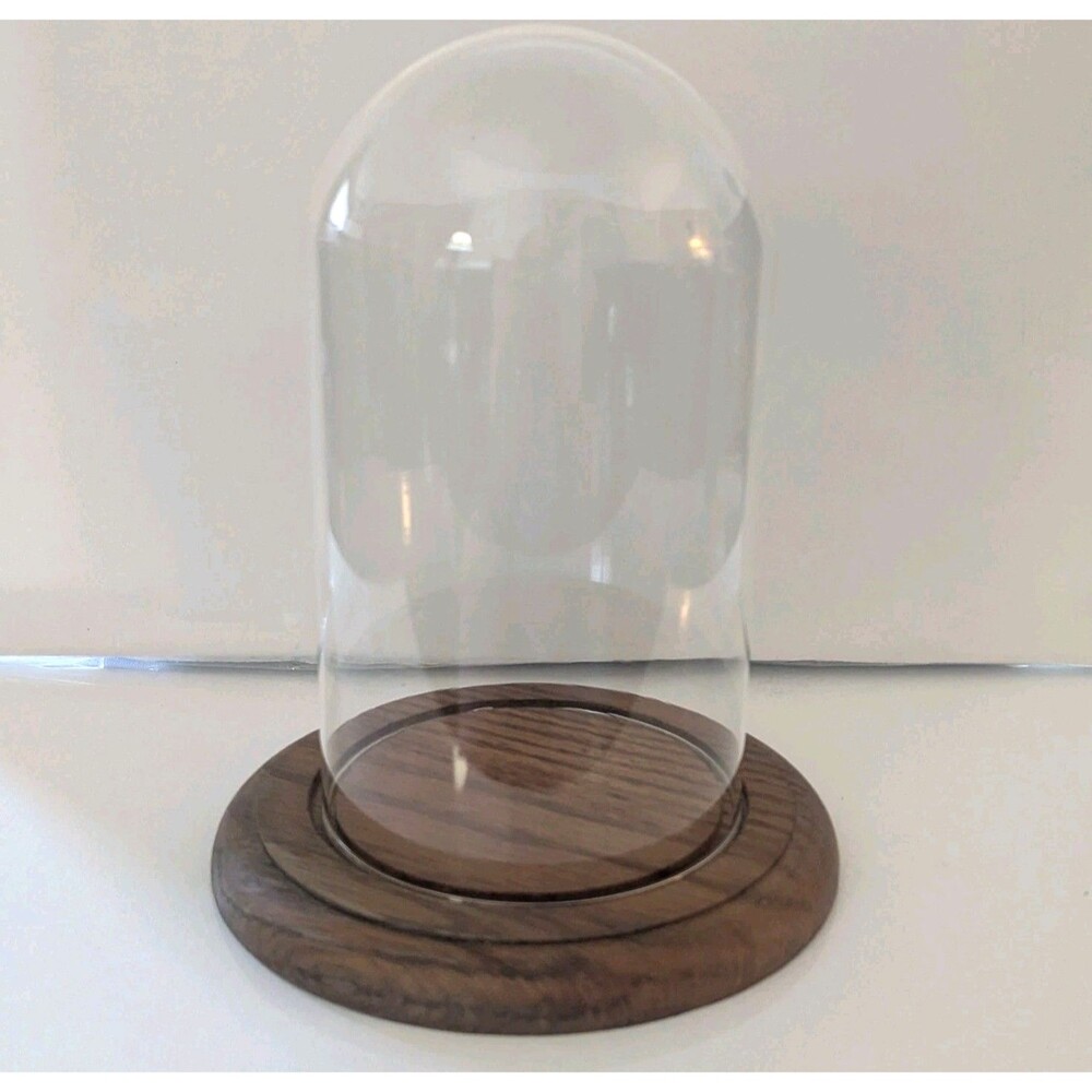 Vintage Glass Dome Display Cloche Bell Jar with Wooden Base 7" x 4"